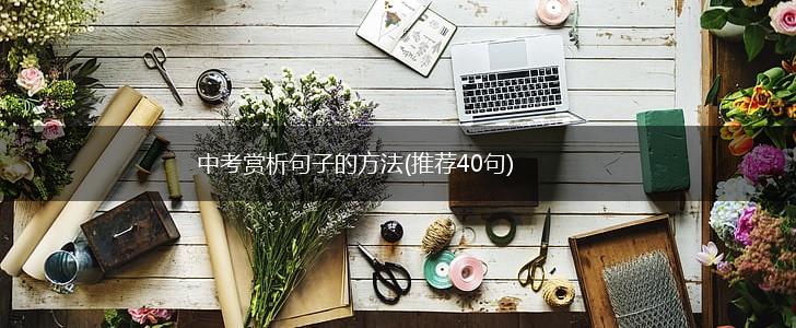 中考赏析句子的方法(推荐40句),第1张