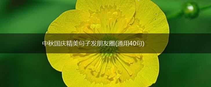 中秋国庆精美句子发朋友圈(通用40句),第1张