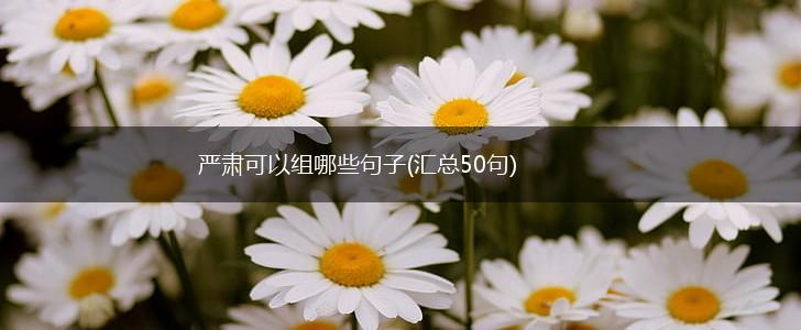 严肃可以组哪些句子(汇总50句),第1张