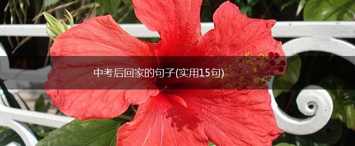 中考后回家的句子(实用15句),第1张