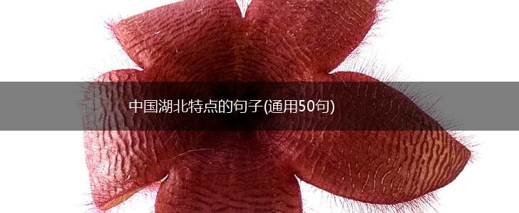 中国湖北特点的句子(通用50句),第1张