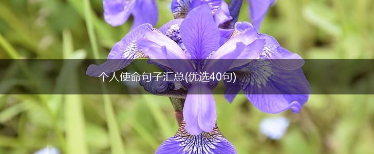 个人使命句子汇总(优选40句),第1张