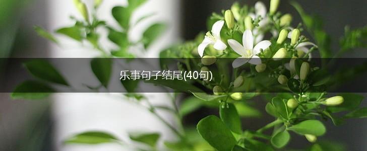 乐事句子结尾(40句),第1张