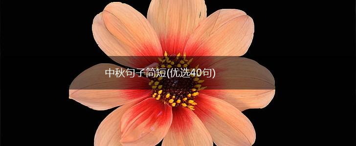 中秋句子简短(优选40句),第1张