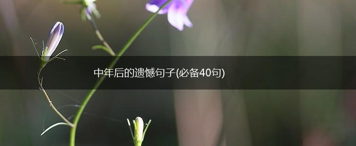 中年后的遗憾句子(必备40句),第1张