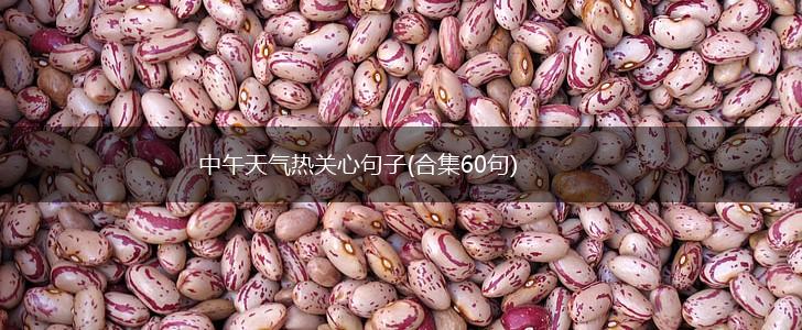 中午天气热关心句子(合集60句),第1张