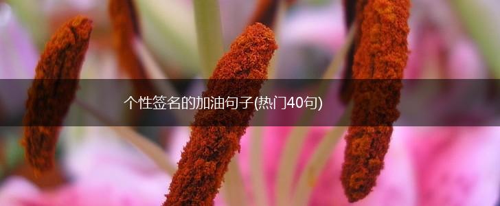 个性签名的加油句子(热门40句),第1张