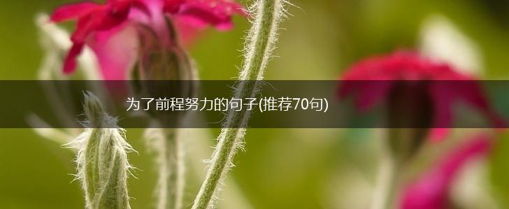 为了前程努力的句子(推荐70句),第1张