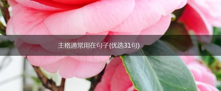 主格通常用在句子(优选31句),第1张