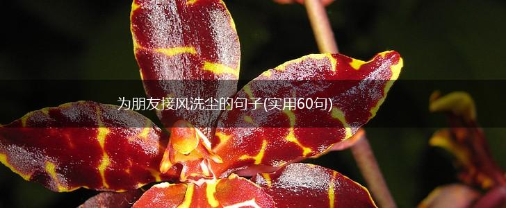 为朋友接风洗尘的句子(实用60句),第1张