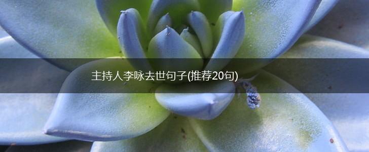 主持人李咏去世句子(推荐20句),第1张