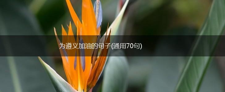 为遵义加油的句子(通用70句),第1张