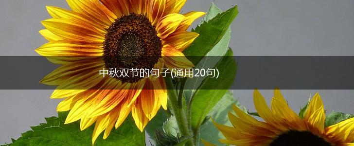 中秋双节的句子(通用20句),第1张