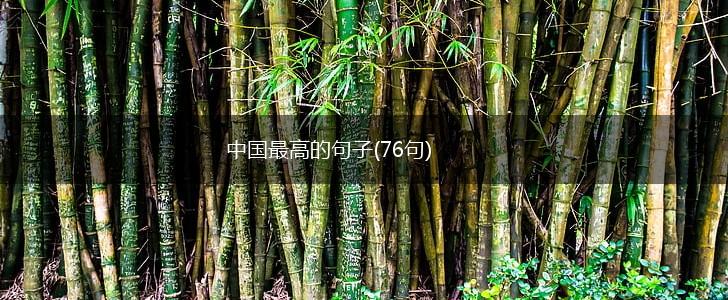 中国最高的句子(76句),第1张