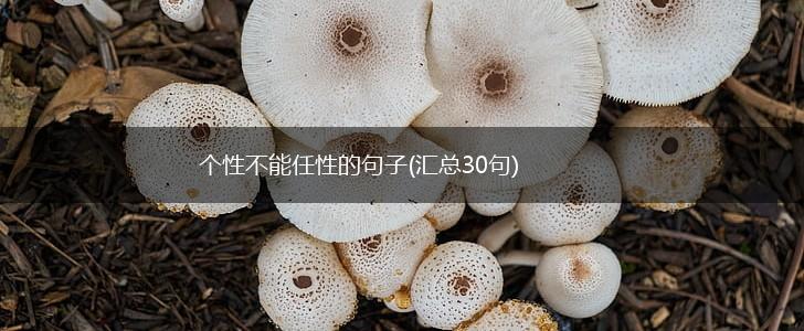 个性不能任性的句子(汇总30句),第1张