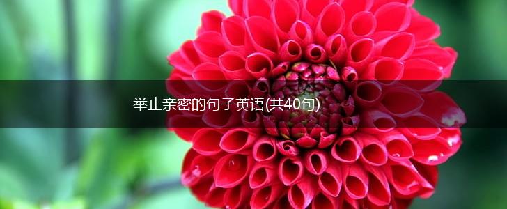 举止亲密的句子英语(共40句),第1张