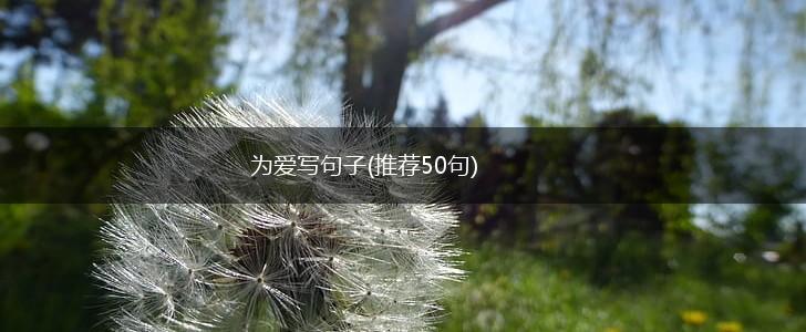 为爱写句子(推荐50句),第1张