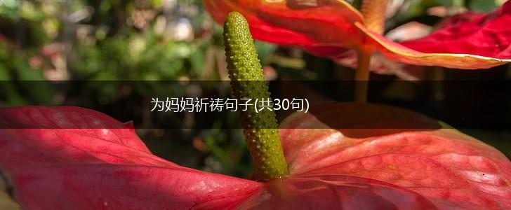 为妈妈祈祷句子(共30句),第1张