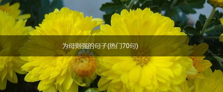 为母则强的句子(热门70句),第1张