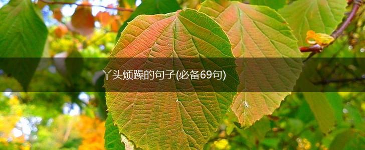丫头烦躁的句子(必备69句),第1张