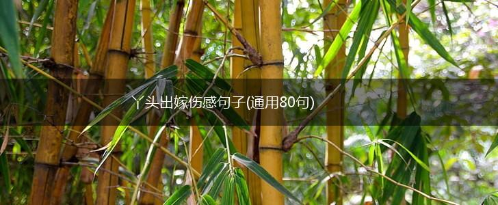 丫头出嫁伤感句子(通用80句),第1张