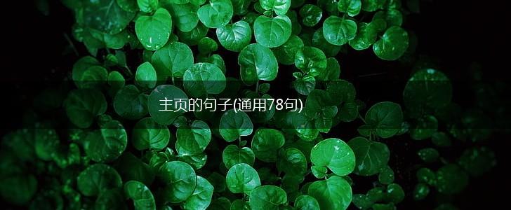 主页的句子(通用78句),第1张