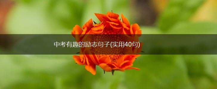 中考有趣的励志句子(实用40句),第1张