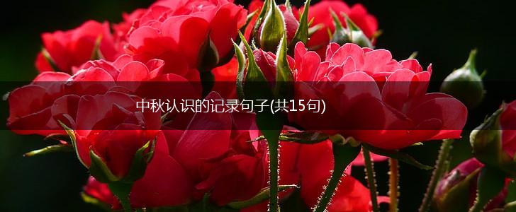 中秋认识的记录句子(共15句),第1张