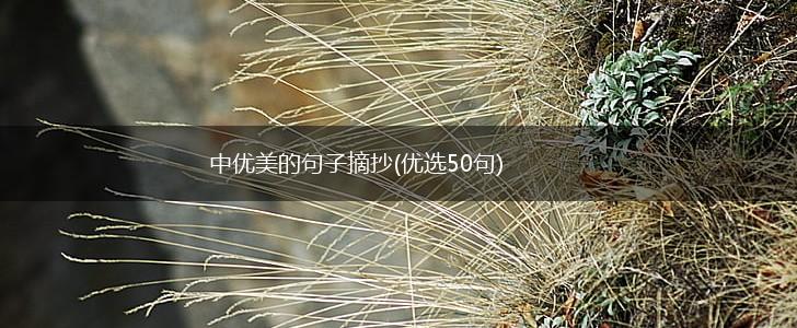 中优美的句子摘抄(优选50句),第1张