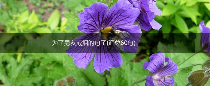 为了男友戒烟的句子(汇总60句),第1张