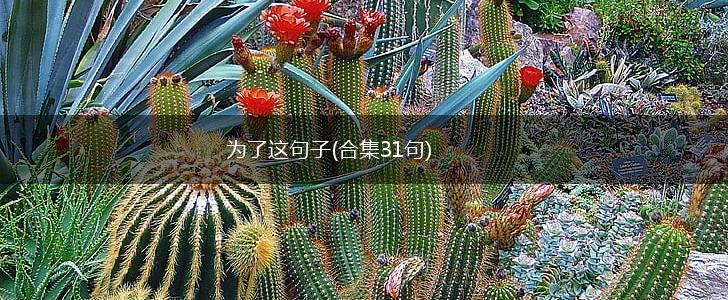 为了这句子(合集31句),第1张