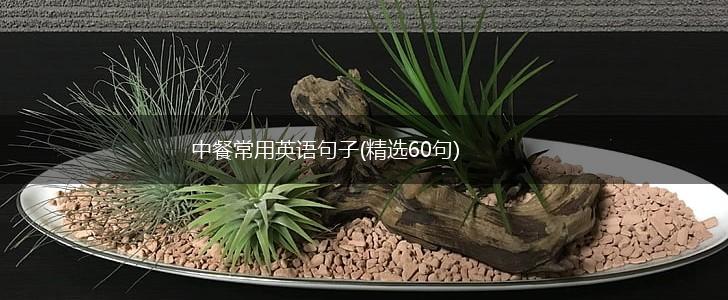 中餐常用英语句子(精选60句),第1张
