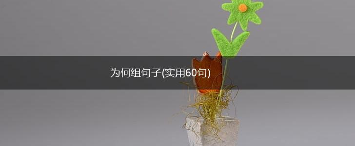 为何组句子(实用60句),第1张