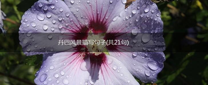 丹巴风景描写句子(共21句),第1张
