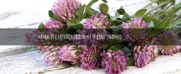 中秋节日的简短精美句子(热门60句),第1张