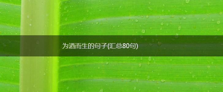 为酒而生的句子(汇总80句),第1张