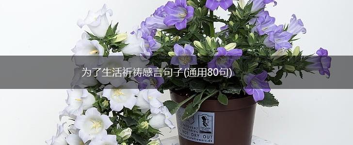 为了生活祈祷感言句子(通用80句),第1张