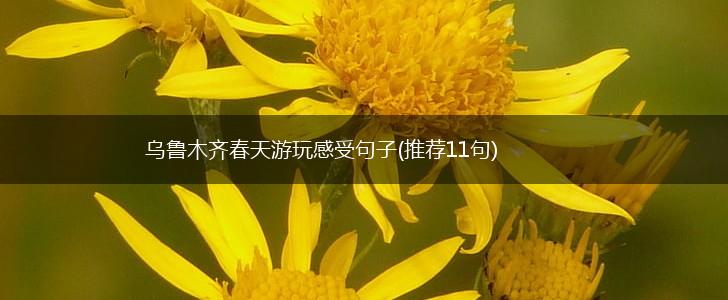 乌鲁木齐春天游玩感受句子(推荐11句),第1张