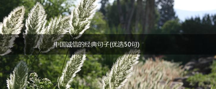 中国诚信的经典句子(优选50句),第1张