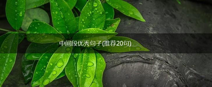 中间段优秀句子(推荐20句),第1张