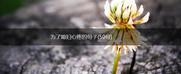 为了媳妇心疼的句子(50句),第1张