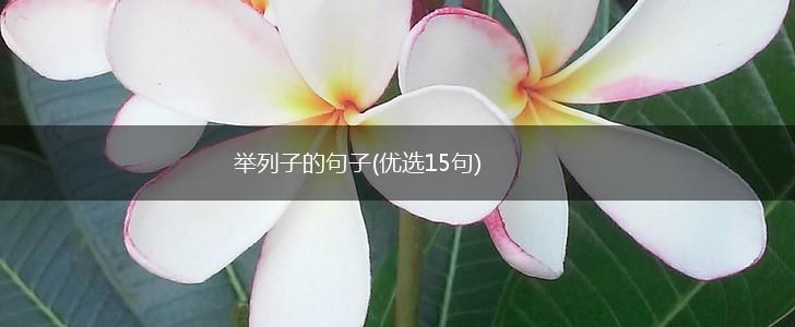 举列子的句子(优选15句),第1张