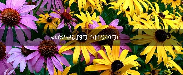 主动承认错误的句子(推荐40句),第1张