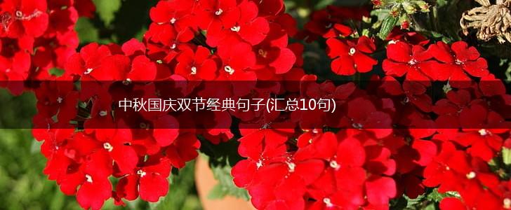 中秋国庆双节经典句子(汇总10句),第1张