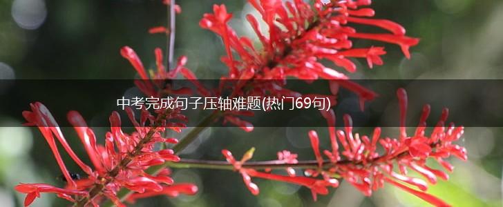 中考完成句子压轴难题(热门69句),第1张