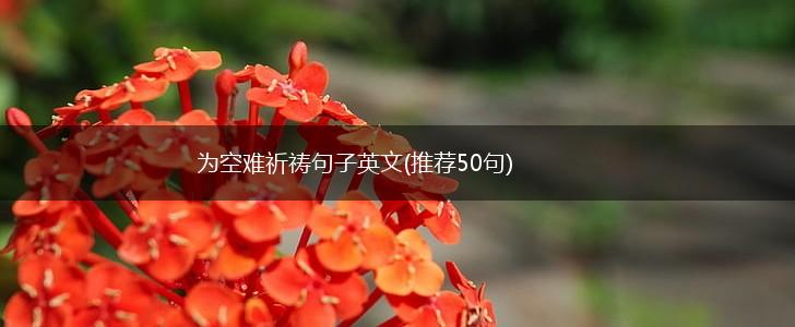 为空难祈祷句子英文(推荐50句),第1张