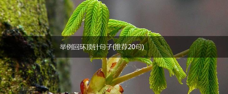 举例回环顶针句子(推荐20句),第1张