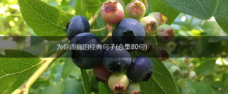 为你而痛的经典句子(合集80句),第1张