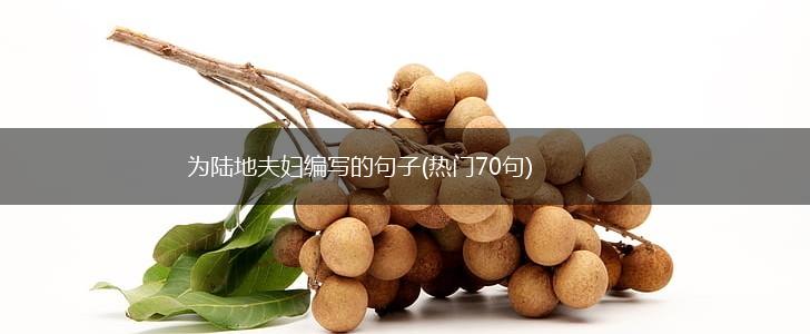 为陆地夫妇编写的句子(热门70句),第1张