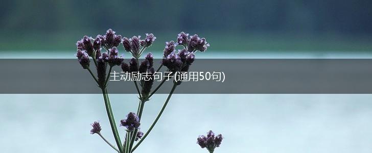主动励志句子(通用50句),第1张